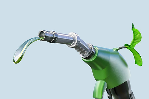 Biofuel Petro Trade Base